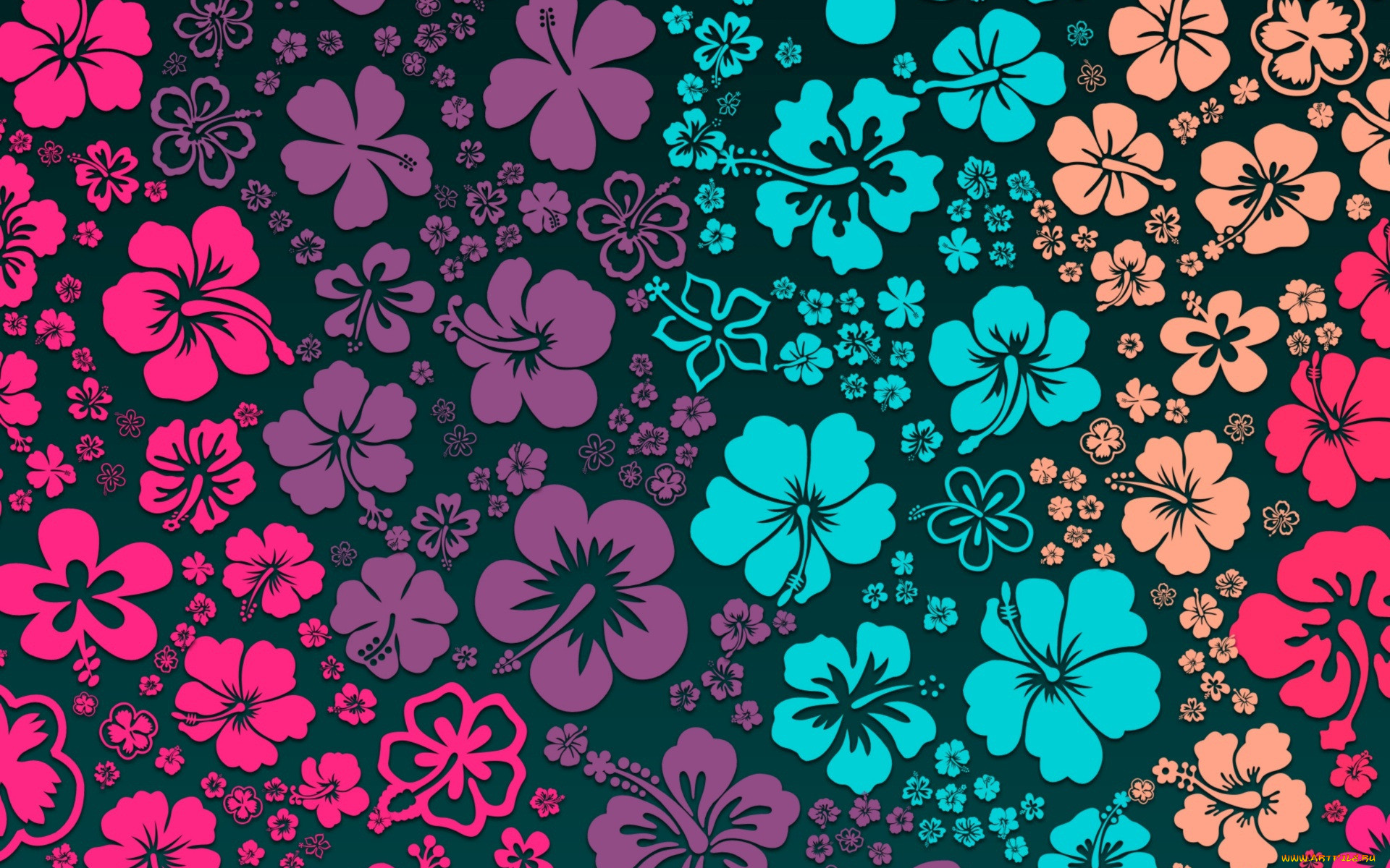  ,  , flowers, 